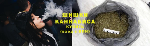 сатива Арсеньев