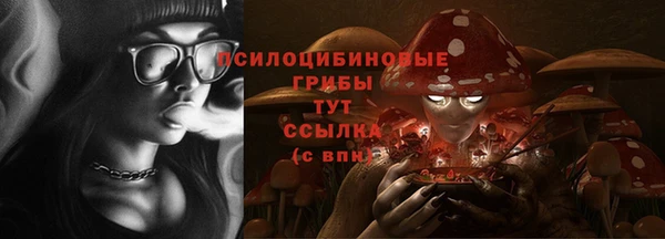 бошки Аркадак