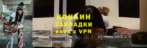 бошки Аркадак