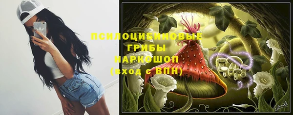 сатива Арсеньев