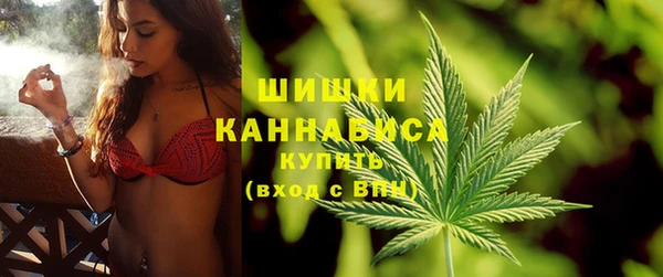 бошки Аркадак